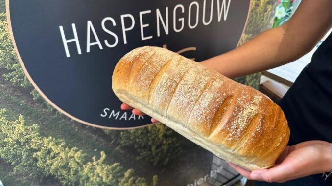Opa's Brood